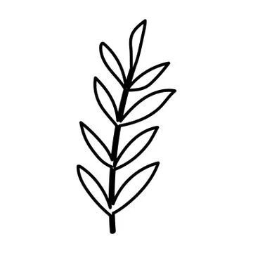 Isolated autumn leaf vector design 스톡 일러스트