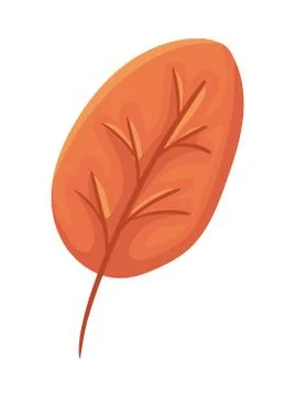 Isolated autumn leaf vector design 스톡 일러스트