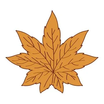Isolated autumn maple leaf vector design Stock Illustration