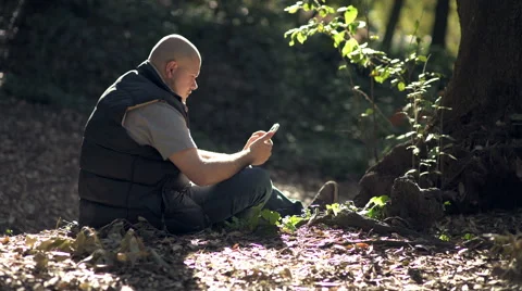 Isolated bald man sit in the forest using tablet Stock Footage 64782340