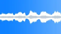 Isolated Beach and Ocean Rumble Ambience Sound Effect