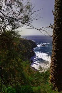 Isolated beach between the trees Stock Photos
