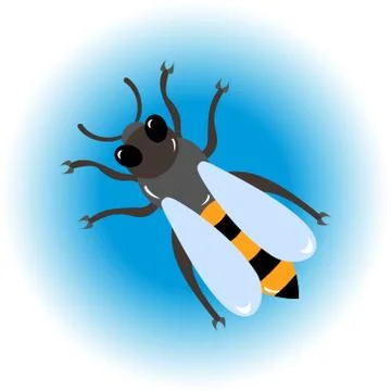 Isolated  bee icon Stock Illustration