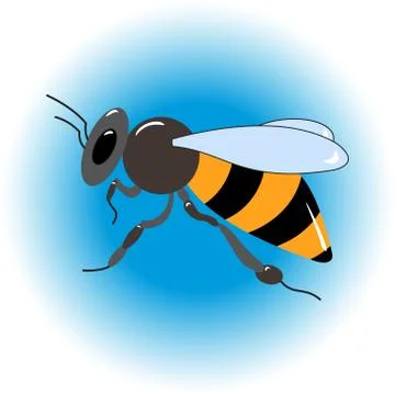 Isolated  bee icon 스톡 일러스트