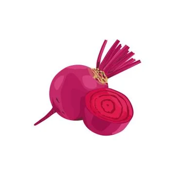 Isolated Beetroot vector design on White Background Stock Illustration
