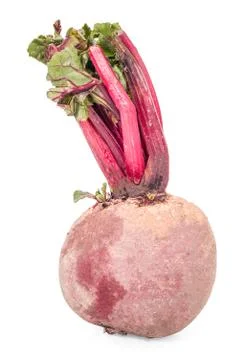 Isolated beetroot. Whole beetroot and two slices isolated on white background Stock Photos
