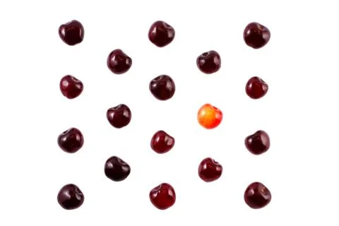 Isolated berries cherry. Stock Photos