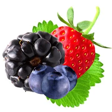 Isolated berries with leaf on white background Stock Photos