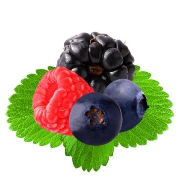 Isolated berries with leaf on white Stock Photos