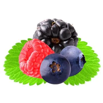 Isolated berries with leaf on white Stock Photos