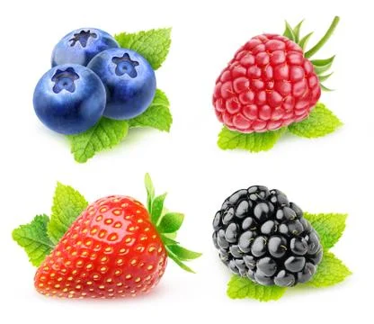 Isolated berries with mint leaf Stock Photos
