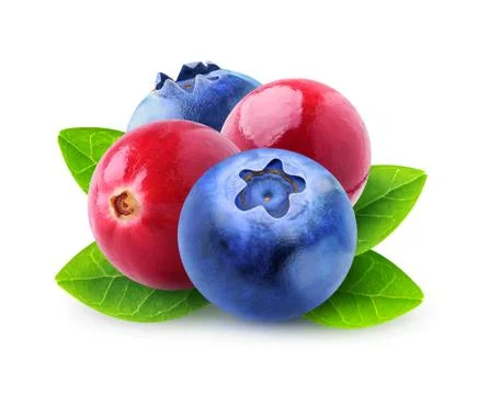 Isolated berries Stock Photos