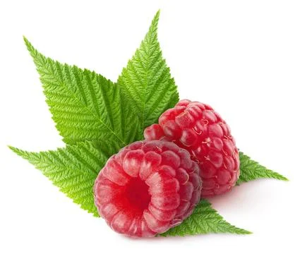 Isolated berries. Two raspberry fruits with leaves isolated on white background Stock Photos