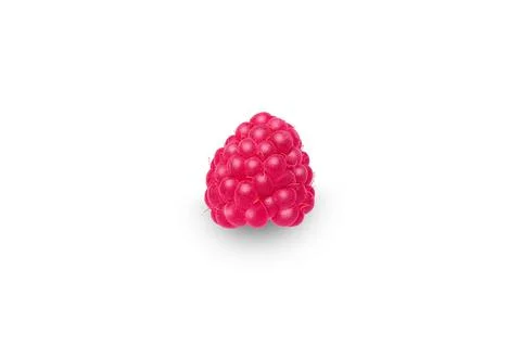 Isolated berry. One fresh raspberry fruit isolated on white background Stock-Fotos