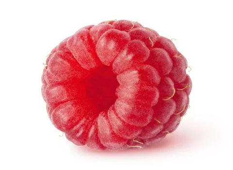 Isolated berry. One ripe raspberry fruit isolated on white background with Stock Photos