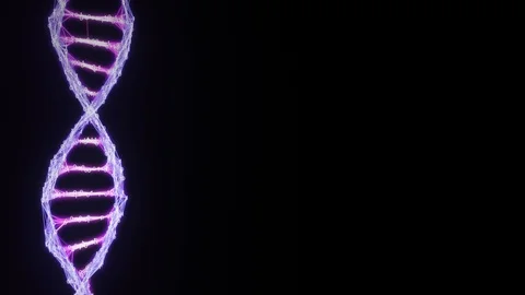Isolated binary Digital Plexus DNA molecule strand Loop pink purple violet alpha Stock Footage 111697549