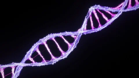 Isolated binary Digital Plexus DNA molecule strand Loop pink purple violet alpha Stock Footage 111697875