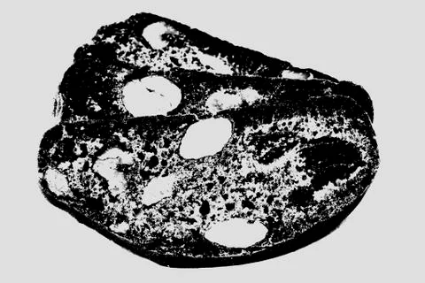 Isolated biscotti Stock Photos