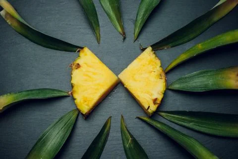 Isolated on a black background, fresh pineapple leaves Stock Photos