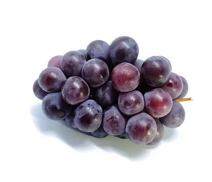 Isolated black grape Stock Photos