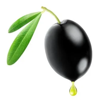 Isolated black olive with drop of oil Stock Photos