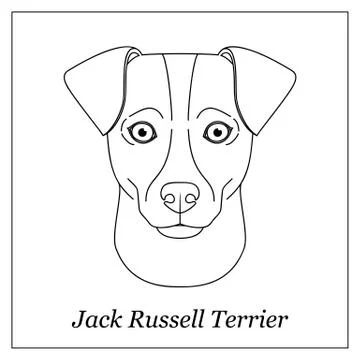 Isolated black outline head of jack russell terrier on white background. Line Stock Illustration