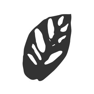 Isolated black silhouette of leaf of monstera adanson on white background. Stock Illustration