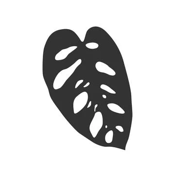 Isolated black silhouette of leaf of monstera adansonii on white background Stock Illustration