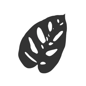Isolated black silhouette of leaf of monstera adansonii on white background. Stock Illustration