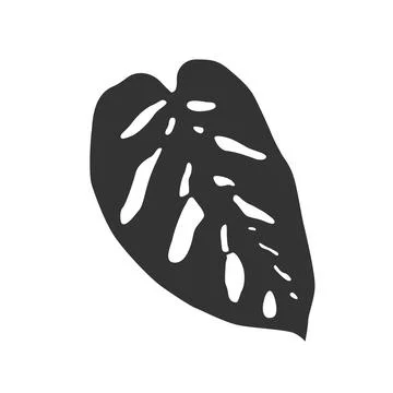 Isolated black silhouette of leaf of monstera adansonii on white background. Stock Illustration