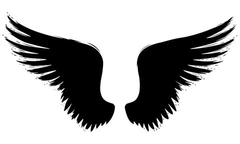 Isolated black silhouette of open hawk or eagle wings featuring textured brus 스톡 일러스트