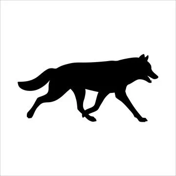 Isolated black silhouette of running wolf on white background. Black flat car Stock Illustration