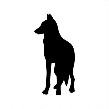 Isolated black silhouette of standing wolf on white background. Black flat ca Stock Illustration