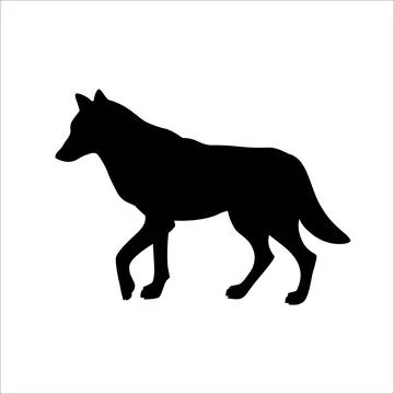 Isolated black silhouette of standing wolf on white background. Black flat ca Stock Illustration