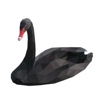 Isolated black swan composed of triangles on white background. Colored polygo Stock Illustration