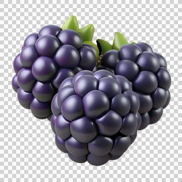 Isolated blackberries no background Stock Illustration