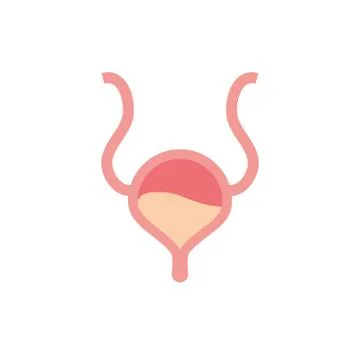 Isolated bladder icon vector design Stock Illustration