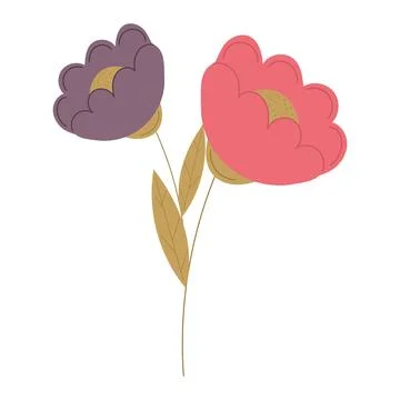 Isolated blossom flower icon Vector Stockillustratie