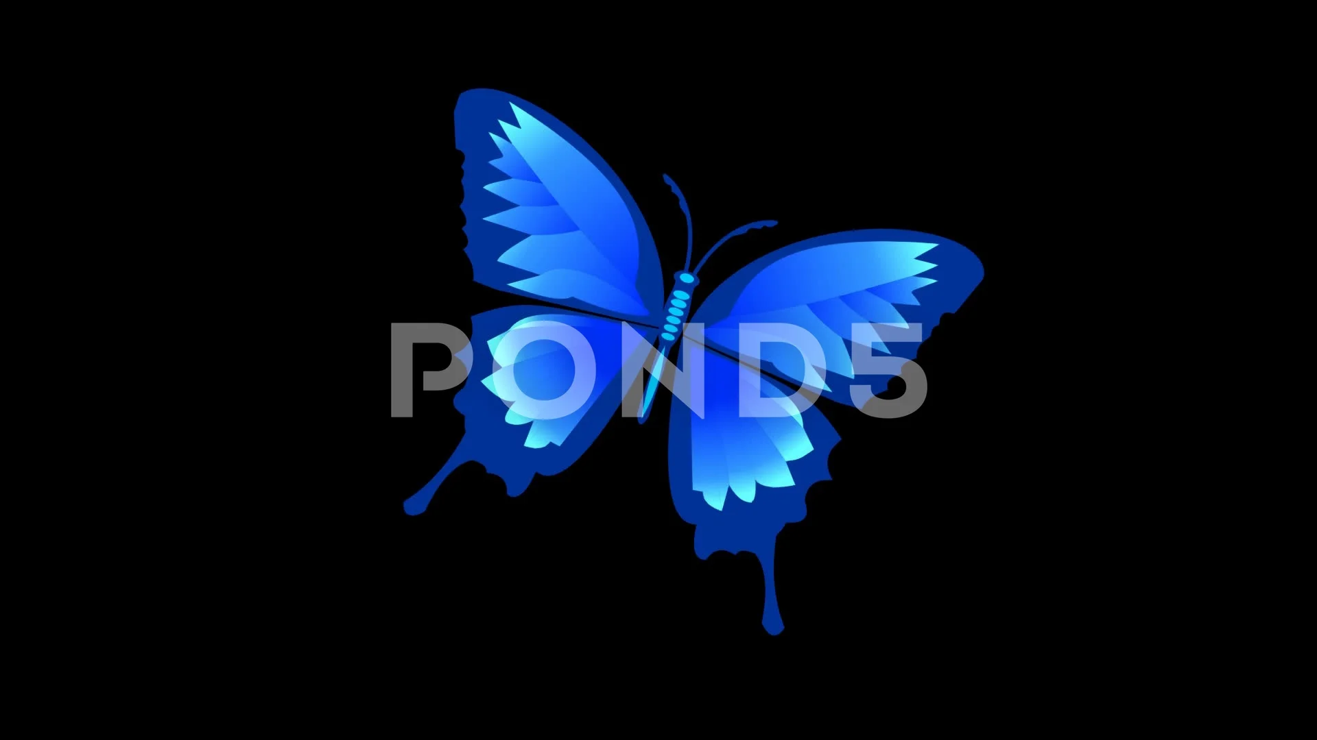 Isolated blue butterfly animated with al... | Stock Video | Pond5