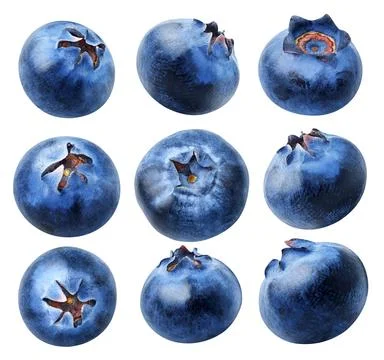 Isolated blueberries collection. Different angle of blueberry fruits isolated on Stock Photos