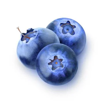 Isolated blueberries Stock Photos