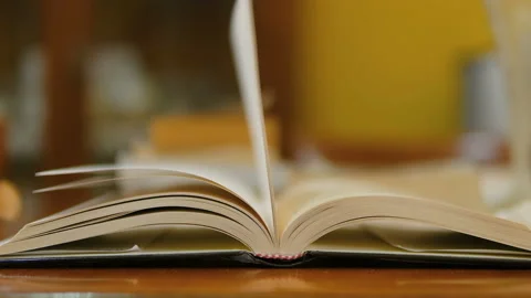 Isolated Book pages turning on,knowledge read concept,home laisure lifestyle Stock Footage 219588653