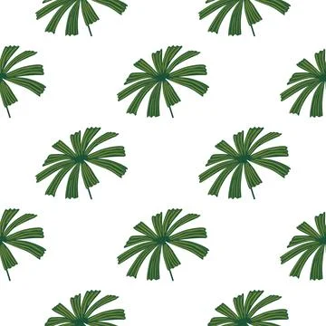 Isolated botanic seamless pattern with green palm licuala ornament. White bac Stock Illustration