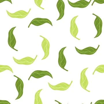 Isolated botanic seamless pattern with green mandarin leaves elements. White  Illustrazione stock