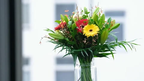 Isolated bouquet with copy space during rainfall in HD Stock Footage 262827139