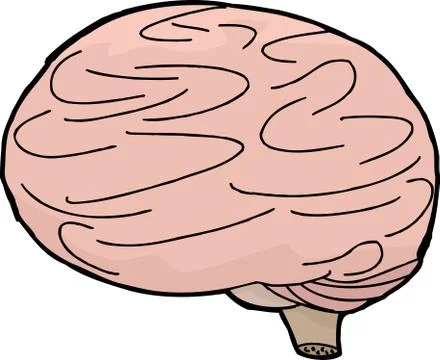 Isolated brain doodle Stock Illustration