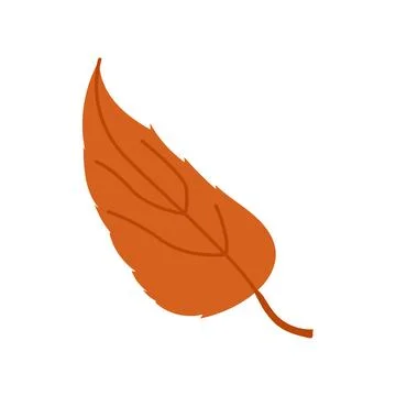 Isolated bright orange autumn leaf vector illustration fall foliage element Stockillustratie