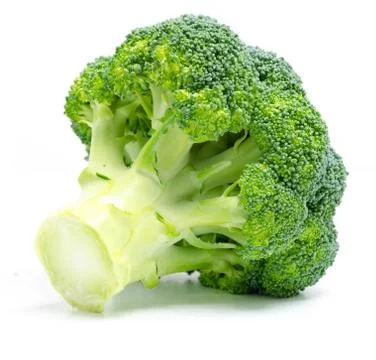 Isolated Broccoli Stock Photos