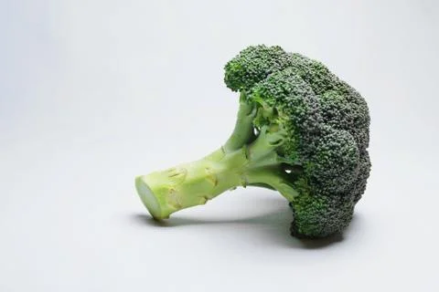 Isolated broccoli on a white background Stock Photos