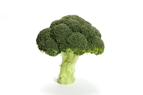 Isolated broccoli on a white background Stock Photos